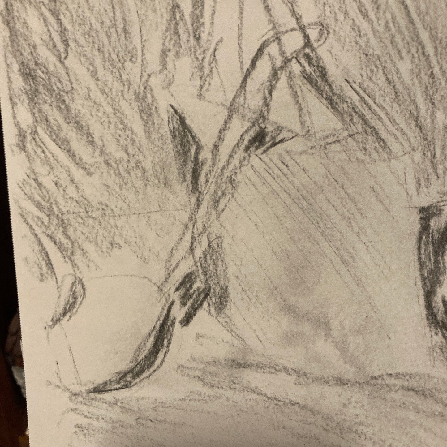 Tea Time Charcoal Still Life 9x12” Sketch